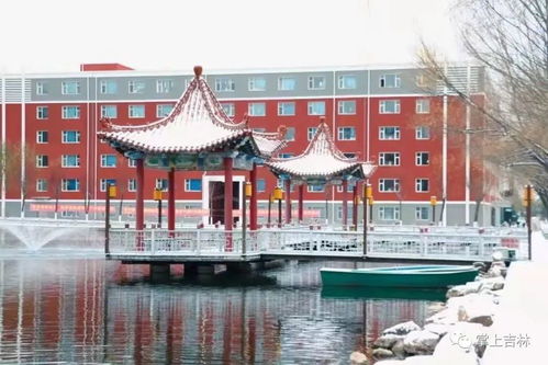 太美了 有沒有你的母校 快來打call